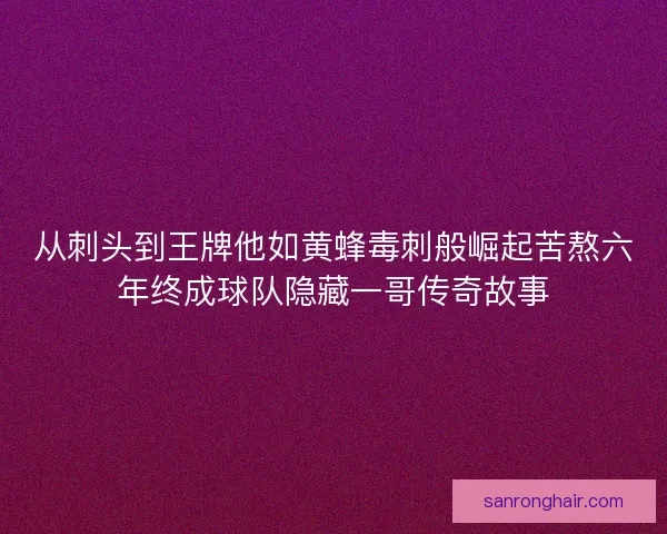 从刺头到王牌他如黄蜂毒刺般崛起苦熬六年终成球队隐藏一哥传奇故事