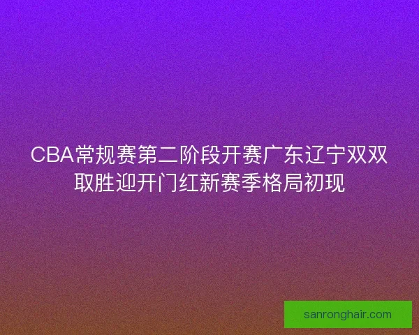 CBA常规赛第二阶段开赛广东辽宁双双取胜迎开门红新赛季格局初现 CBA常规赛第二阶段开赛广东辽宁双双取胜迎开门红新赛季格局初现